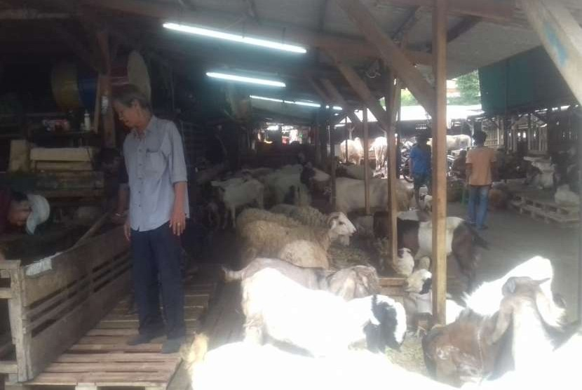 Pasar Kambing Tanah Abang. Pasar kambing di Tanah Abang sudah ada sejak ratusan tahun lalu. Foto: Republika.