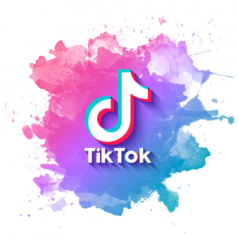 SnapTik.App. SnapTik.App menawarkan mendownload video-video dari TikTok tanpa watermark. Foto: IST 