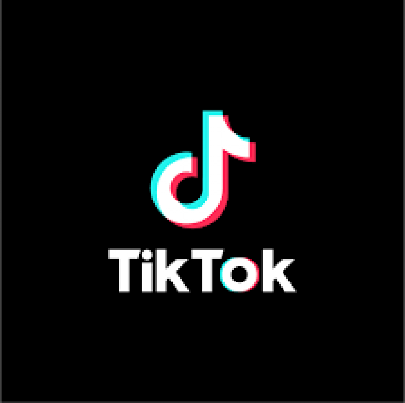 SnapTik.App. Video-video hasil download dari TikTok tanpa watermark. Foto: IST 